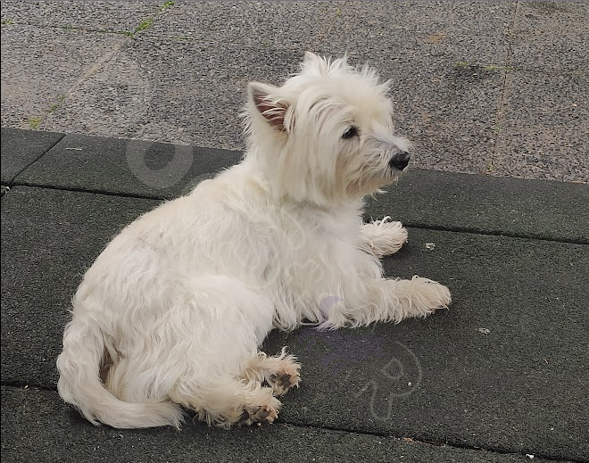 ¡Un acto de amor que cambia vidas!